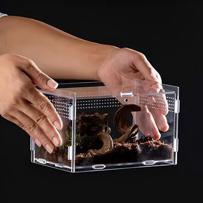 Imagen del producto de Terrario de acrílico para alimentación, transparente, de 20 x 12 x 12 cm, para reptiles