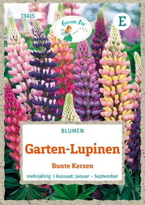 Produktbild von Grüne Fee - Garten-Lupinen Bunte Kerzen Samen - 13415