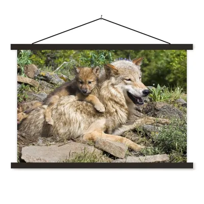 Produktbild von MuchoWow® Textilposter Wolf - Jungtier - Tier 60x40 cm mit schwarzem Rahmen - Hölzernes
