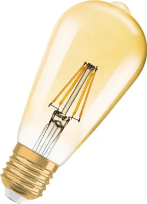 A close-up studio shot of a vintage-style LED light bulb.