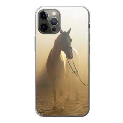 Produktbild von MuchoWow® Handyhülle Schutzhülle Hülle für iPhone 13 Pro Pferd - Licht - Sand Silikon Softcase Handy Hülle - Handy-Tasche