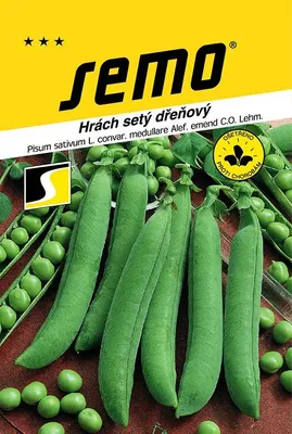 Image de Pois verts - Progress 9 précoces 50 g