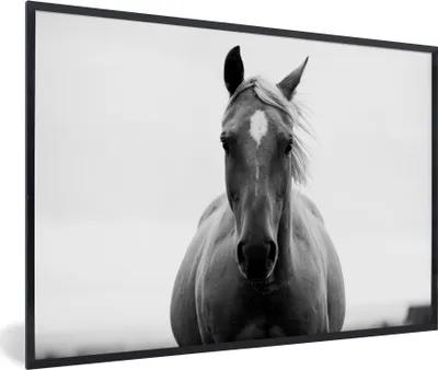 Produktbild von MuchoWow® MuchoWow® Gerahmtes Poster Pferd - Schwarz - Weiß - Porträt 60x40 cm - Poster mit zchwarzem Bilderrahmen - Printing - Wanddeko Schlafzimmer