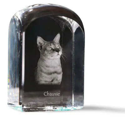 Produktbild von Chausie Kristallstempel mit einer Katze Art-Dog