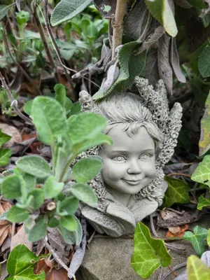 Immagine prodotto di Salvia figlia dei fiori, in resina