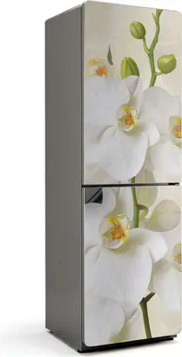 Obrázok produktu pre Orchidea - Magnetický kryt na chladničku - Magnetická dekoratívna fólia do kuchyne - Magnetická dekorácia na chladničku - Samolepiaca magnetická tabuľa - Magnetická fólia na dvere chladničky - 60x190 cm