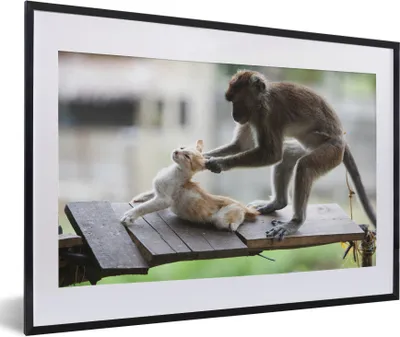 Produktbild von MuchoWow® MuchoWow® Gerahmtes Poster Katze - Affe - Holz 60x40 cm - Poster mit zchwarzem Bilderrahmen - Schlafzimmer - Plakat in Rahmen - Drucken