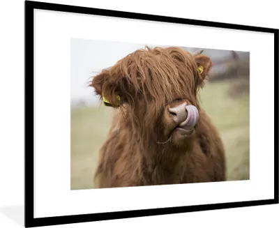 Produktbild von MuchoWow® Gerahmtes Poster Schottischer Highlander - Nahaufnahme 90x60 cm - Poster mit Schwarzem Bilderrahmen Wandposter Rahmen Foto Bilder - Wanddekoration - Fotos