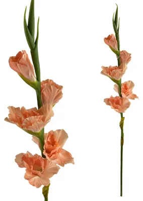 Productafbeelding van Viridis Kwiat: Kunststof zwaardgras, 85 cm, met rubberen coating