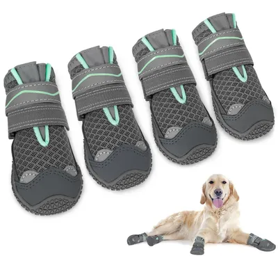 Image de Bottes imperméables pour chiens avec semelle en caoutchouc réfléchissante