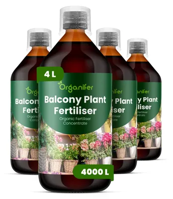 Produktbild von Flüssigdünger für Balkonpflanzen 4x1L – 2-1-8 NPK – Flüssigdünger Für Blüh- & Grünpflanzen – Für Üppige Blüten & Blätter – Organifer