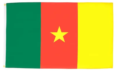 2 Flaggen Kamerun 90x60 cm Polyester 100D mit Ringen