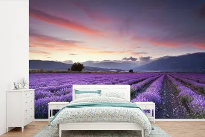 Produktbild von MuchoWow® Fototapete für Wohnzimmer oder Schlafzimmer Wandtapete Vinyl Motivtapete Ein schönes Lavendelfeld bei Sonnenuntergang - 525x350 cm - Das Hintergrundbild