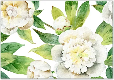 Produktbild von Tulup® Glas-Bild - 100 x 70 - Wandbild aus Glas - Wandkunst - Wandbild hinter gehärtetem Sicherheitsglas - Blumen & Pflanzen - Pfingstrosen - Grün