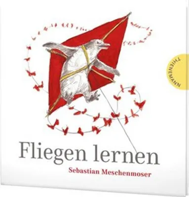 Obrázek produktu pro Fliegen lernen