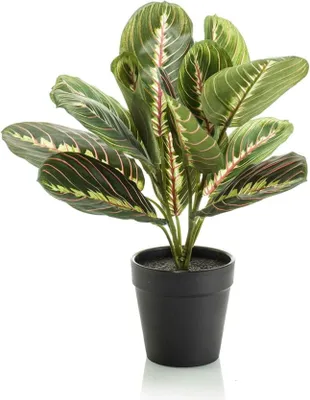 Produktbild von Maranta – Korbmarante – Kunstpflanze – 30cm hoch – Schwarzer Topf Ø12cm – Naturgetreue Blattstruktur – Pflegefrei & kompakt – Für Regal, Fensterbank & Schreibtisch