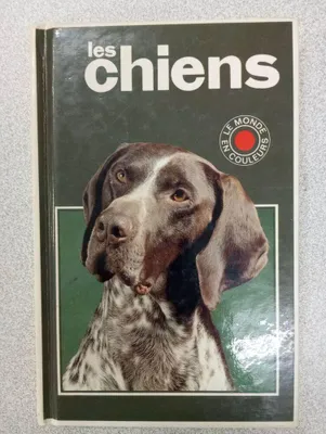 Image de Les chiens