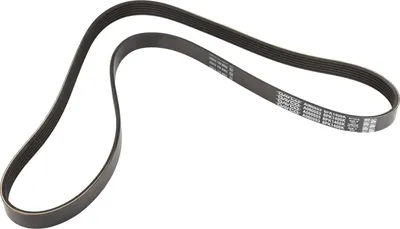 Produktbild von Dayco Keilrippenriemen