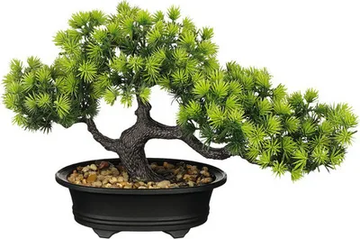 Produktbild von Kunstpflanze Bonsai Mica Kunststoff H 21 cm grün