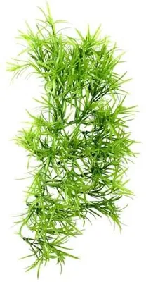 Productafbeelding van Hobby Terrano Climber Tropica hangend terrarium kunstplant 37 of 70cm 37CM