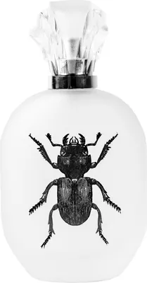 Obrázek produktu pro CAPTAIN FAWCETT Alessandro Manfredini EdP 50 ml