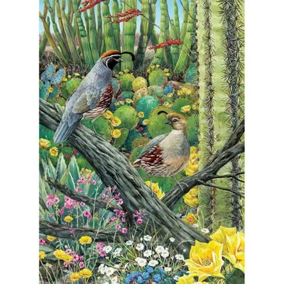 Image de COBBLE HILL Puzzle Courtship 1000 Teile