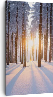 Produktbild von Bild auf Leinwand - Leinwandbild - Wald Winter Schnee - 45x80cm - Wand Bild - Wanddeko - Wandbilder - Leinwanddruck - Bilder - Kunstdruck - Wanddekoration - Leinwand bilder - Wandkunst - PA45x80-3629
