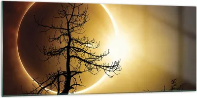 Produktbild von Bilder auf glas - Einteilig - Sonnenfinsternis die Sonne Baum - 120x50cm - Glasbilder - Wandbilder - Bilder - Wanddekoration aus Glas - Glas Bilder - Wandbild auf Glas - GAB120x50-4349