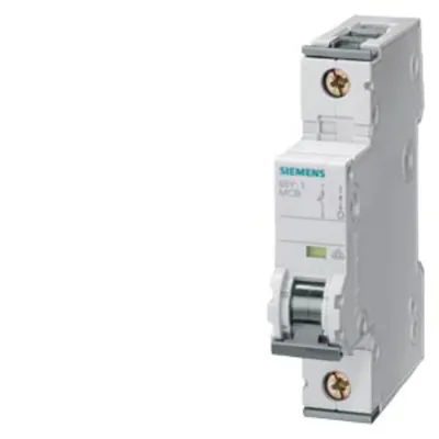 Image de Siemens Dig.Industr. interrupteur LS 5SY4120-6 5SY41206