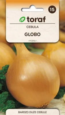 Zdjęcie produktu dla Cebula GLOBO Nasiona 3g Toraf 22.