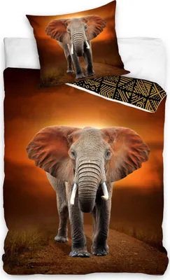 A close-up of an elephant on a bedding set with a sunset background.