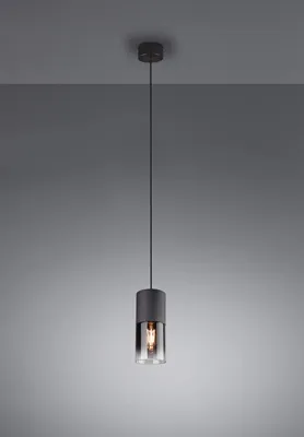 Produktbild von Trio Leuchten Pendelleuchte Robin Metall Schwarz matt Glas rauchfarbig E27