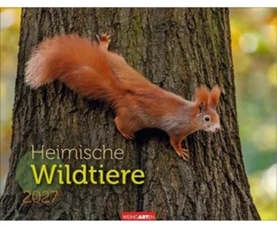 Produktbild von Heimische Wildtiere Kalender 2027