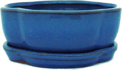 Immagine prodotto di Ciotola bonsai con piattino Gr. 1 - blu - haitang / ovale - modello I5 - L 12cm - P 9,5 cm - H 4,5 cm