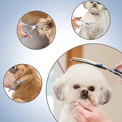 Produktbild von Professionelle Hundeschere für die Fellpflege - runder Sicherheitspunkt - gebogene Haarschere für Hunde und Katzen