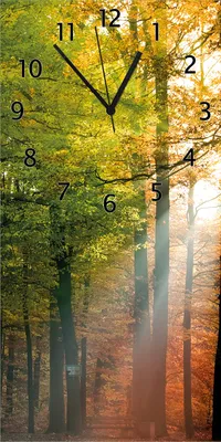 Produktbild von Wallario Design Wanduhr bedruckt, Größe 30 x 60 cm, Motiv: Sonnenuntergang im Herbstwald