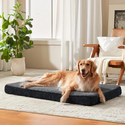 Image de Lit orthopédique pour chien, taille XL, gris foncé, 104x69x9,5 cm. Lavable et antidérapant
