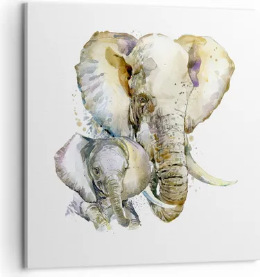 Produktbild von Bild auf Leinwand - Leinwandbild - Elefanten tier safari afrika - 60x60cm - Wand Bild - Wanddeko - Leinwanddruck - Bilder - Kunstdruck - Wanddekoration - Leinwand bilder - Wandkunst - AC60x60-2884
