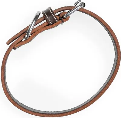 Produktbild von Robuste Lederhalsband für kleine und große Hunde - Braun (M, 36-46 cm)
