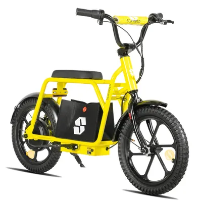 Produktbild von Hiland 16-Zoll-Elektrofahrrad für Kinder, 250W 5,2Ah Akku, Mini-Lasten-E-Bike mit einer Gangschaltung für Jugendliche, mechanische Scheibenbremsen