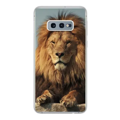 Produktbild von MuchoWow® Handyhülle Schutzhülle Hülle für Samsung Galaxy S10e Löwe - Felsen - Porträt Silikon Softcase Handy Hülle - Handy