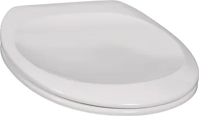 Produktbild von Villeroy & Boch V&B WC-Sitz GRANGRACIA Scharn vc we alpin