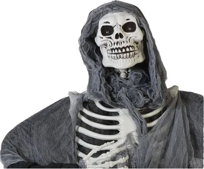 Obrázek produktu pro Halloween dekorace kostra 170 x 145 cm