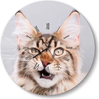 Produktbild von DEQORI Glasuhr Ø50 cm Römisch 'Maine Coon Katze faucht' Wanduhr Glas Uhr Design leise