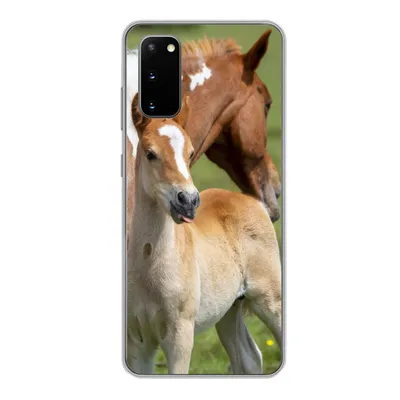 Produktbild von MuchoWow® Handyhülle Schutzhülle Hülle für Samsung Galaxy S20 Pferde - Fohlen - Gras Silikon Softcase Handy Hülle - Bild