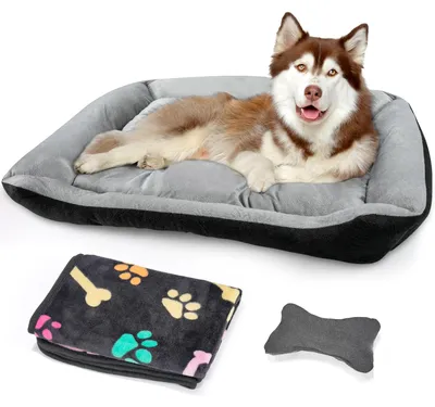 Image de Lit pour chien, taille moyenne, avec bords surélevés et lavable. Lits pour chiens