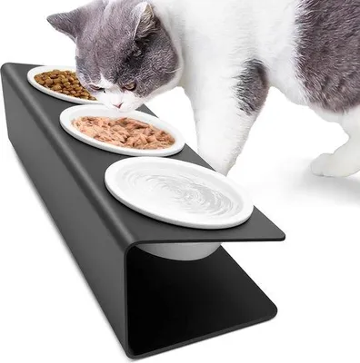 Produktbild von Famanu erhöhte Futterstation Keramische Futter- und Wasserstation - 15° geneigt