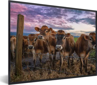 Produktbild von MuchoWow® Gerahmtes Poster Kuh - Tiere - Kühe 80x60 cm - Poster mit Schwarzem Bilderrahmen Wandposter Rahmen Foto Bilder - Schwarzem - Mit Gestell