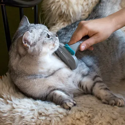 Produktbild von Navaris Bürste für Unterwolle bei Hund Katze - Unterfell Kamm Langhaar Kurzhaar - De-Shedding Fell Striegel Hundebürste - Fellpflege Fellbürste