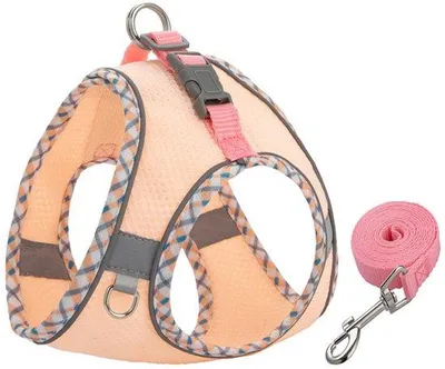 Immagine prodotto di Collare per cani di piccola taglia con funzione di sicurezza - Linea anti-fuga - Collare regolabile - Collare in cotone iridescente - Collare di sicurezza per cani con guinzaglio e custodia - Set guinzaglio e collare per cani - Taglia piccola